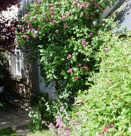 Apartment Little Bed And Breakfast Plouer-sur-Rance